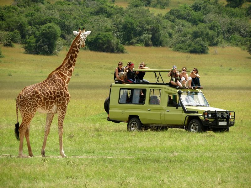 Arusha national park